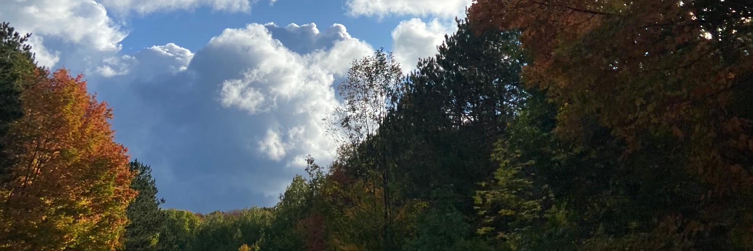 kenzelyse's profile banner image