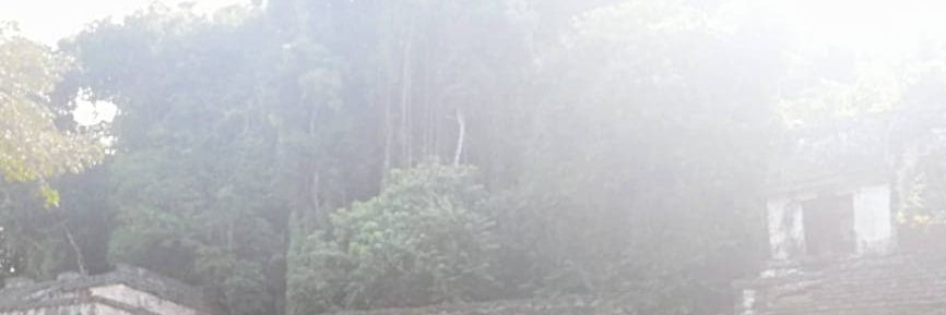 pablin2804's profile banner image