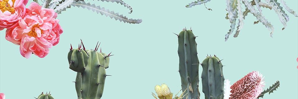 🐦 LaurelNymph 🌾 🐻 🧵 banner