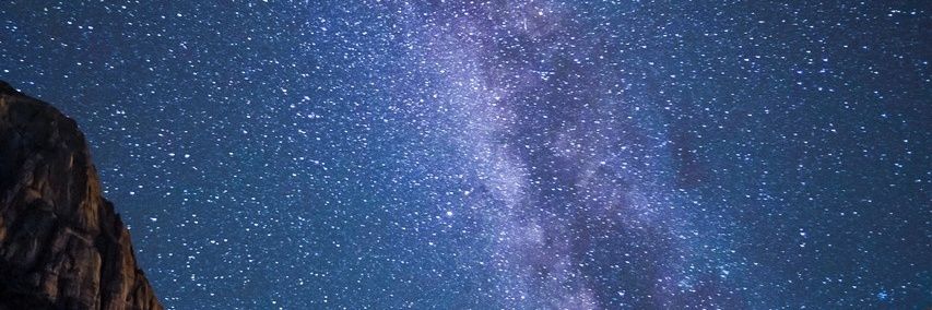 Hayley Chang banner
