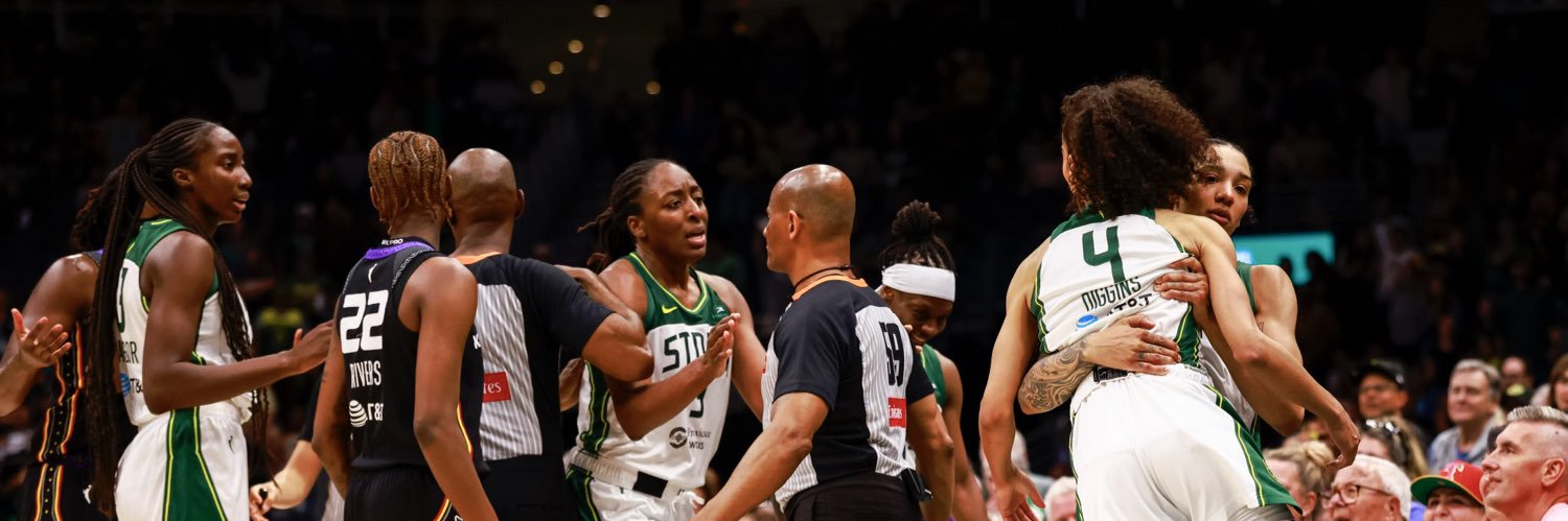 skylar diggins fan's banner