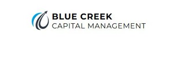 DWhiteBlueLine Profile Banner