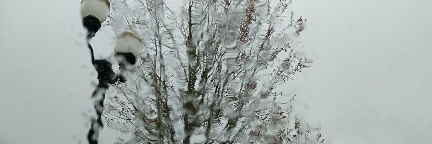 Dampscribbler banner