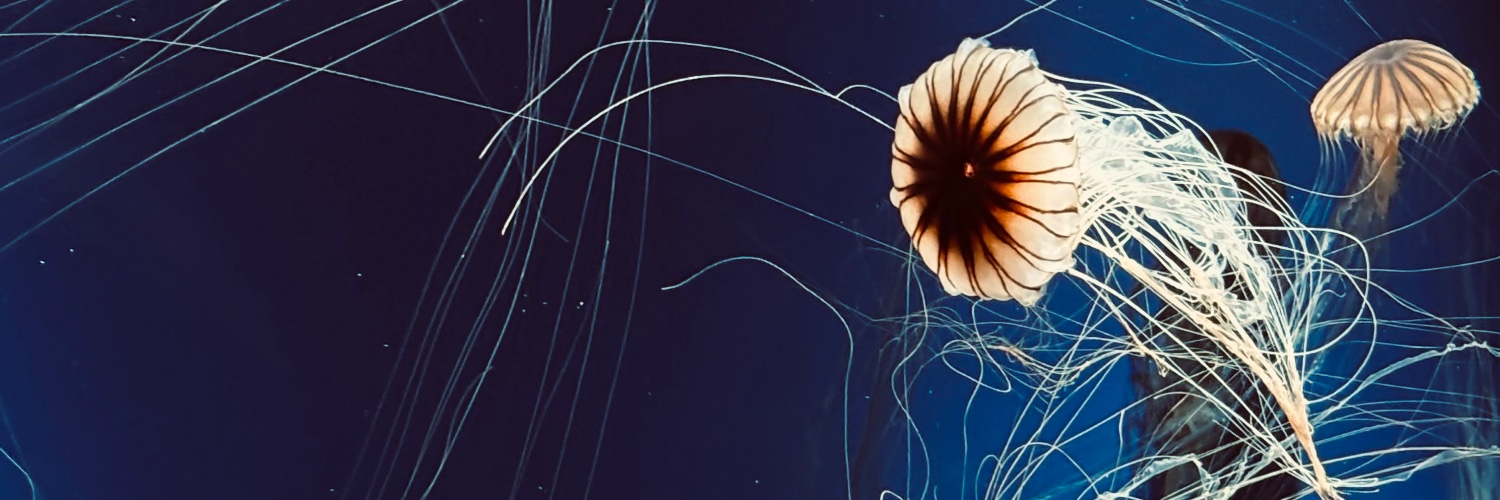 a banner
