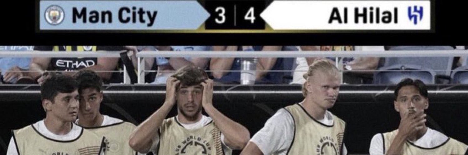 Ibrahimović banner