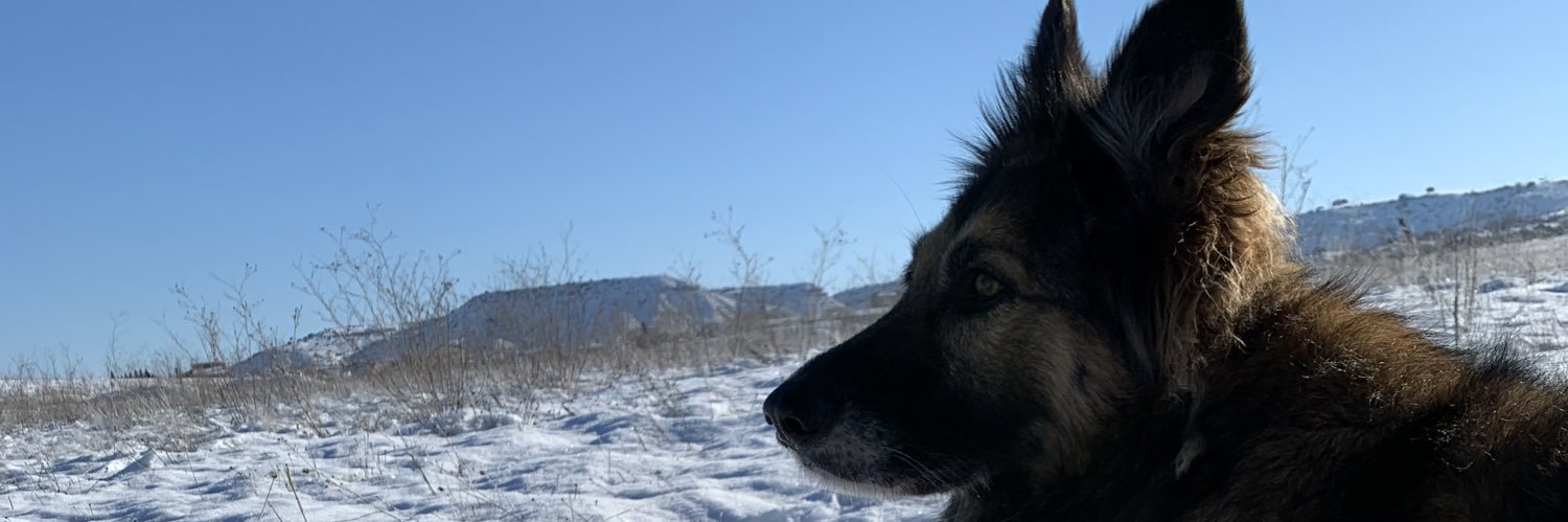diego22prw's profile banner image