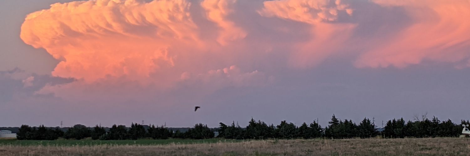 conjelkin's profile banner image