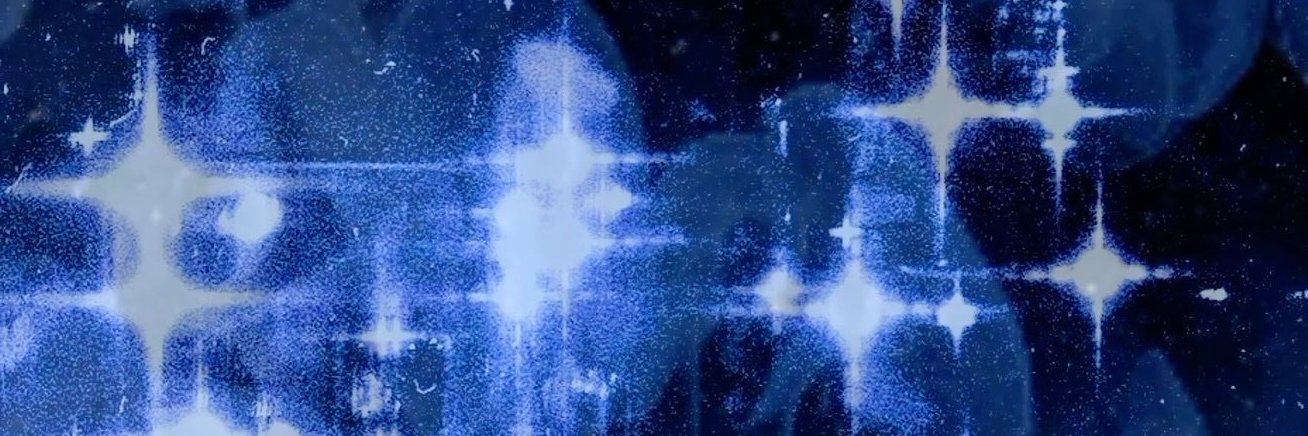 马/蜂 banner