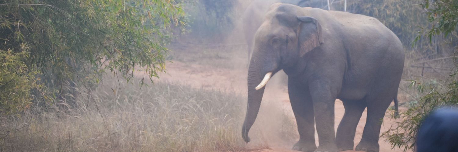 Rahul Bhalerao banner