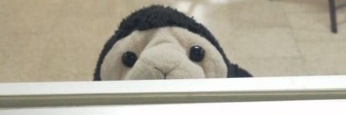 acostasaul's profile banner image