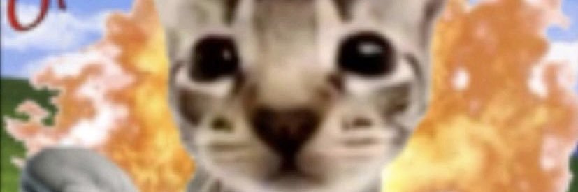 blubber_ball's profile banner image