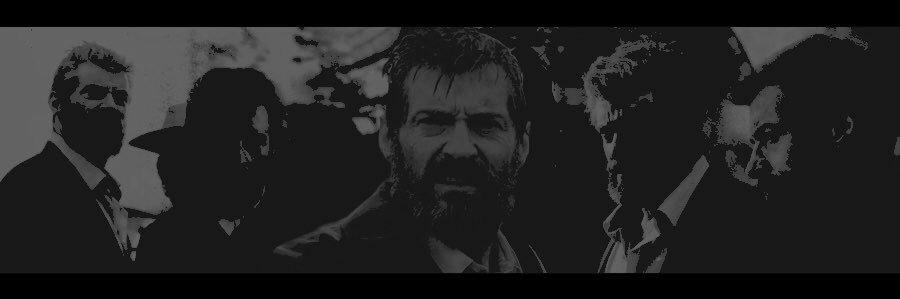 Logan banner