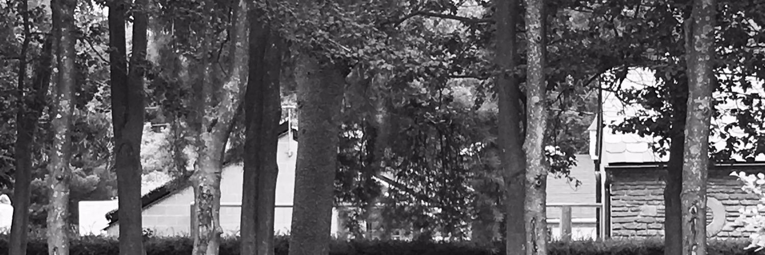 sallyjroth's profile banner image