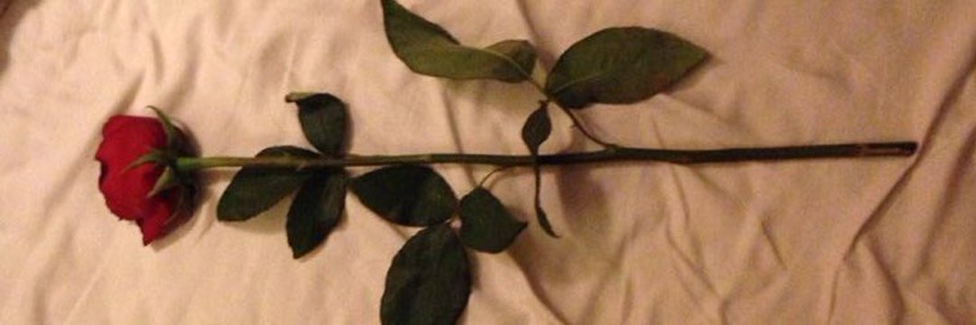 Vaquero0679🤠 banner