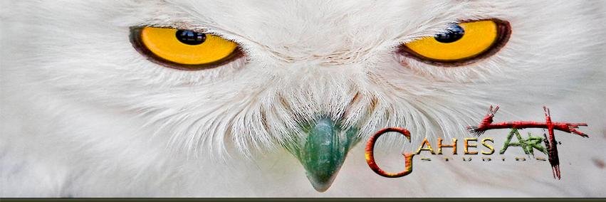 Gahes's profile banner image