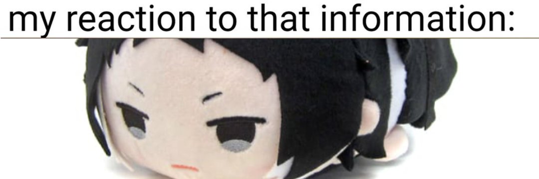 Lor⋆౨ৎ˚⟡˖ ࣪'s banner