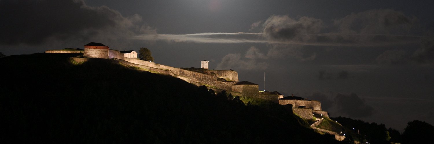 Rino Gulliksen. banner