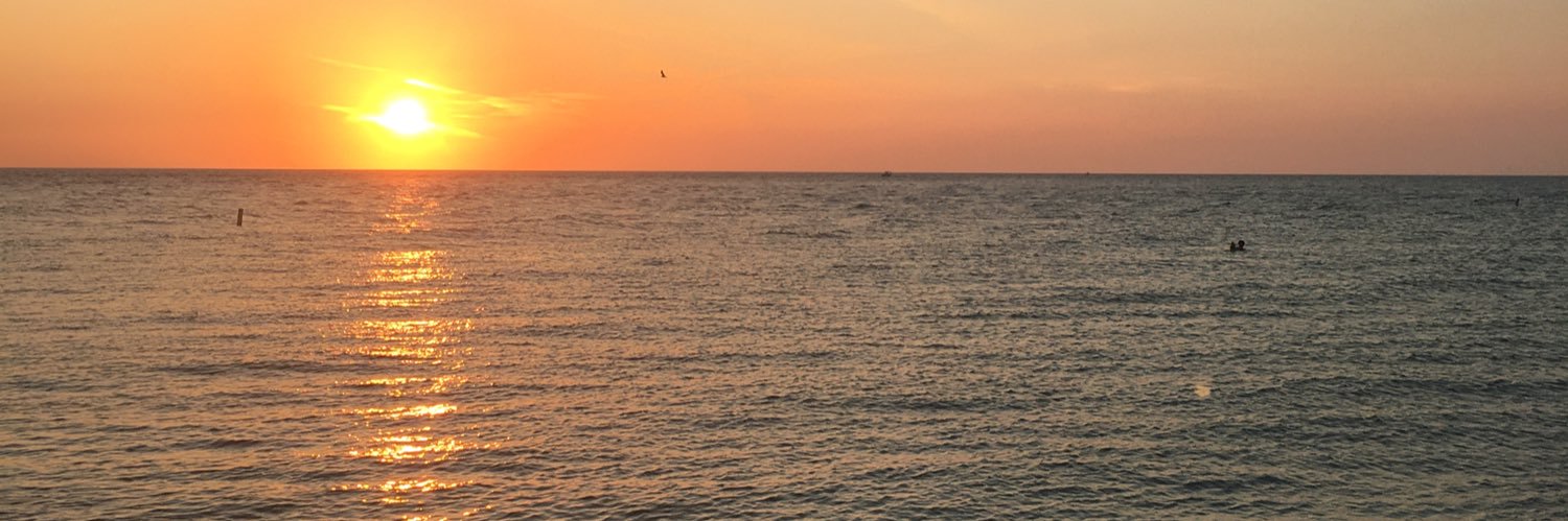 koppmom's profile banner image