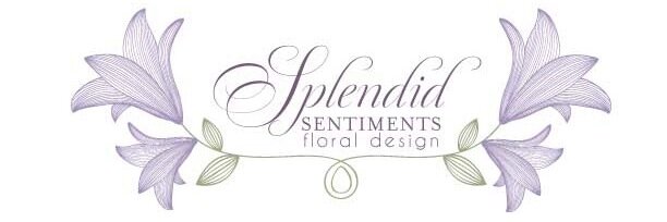 Twitter banner for @sentiments