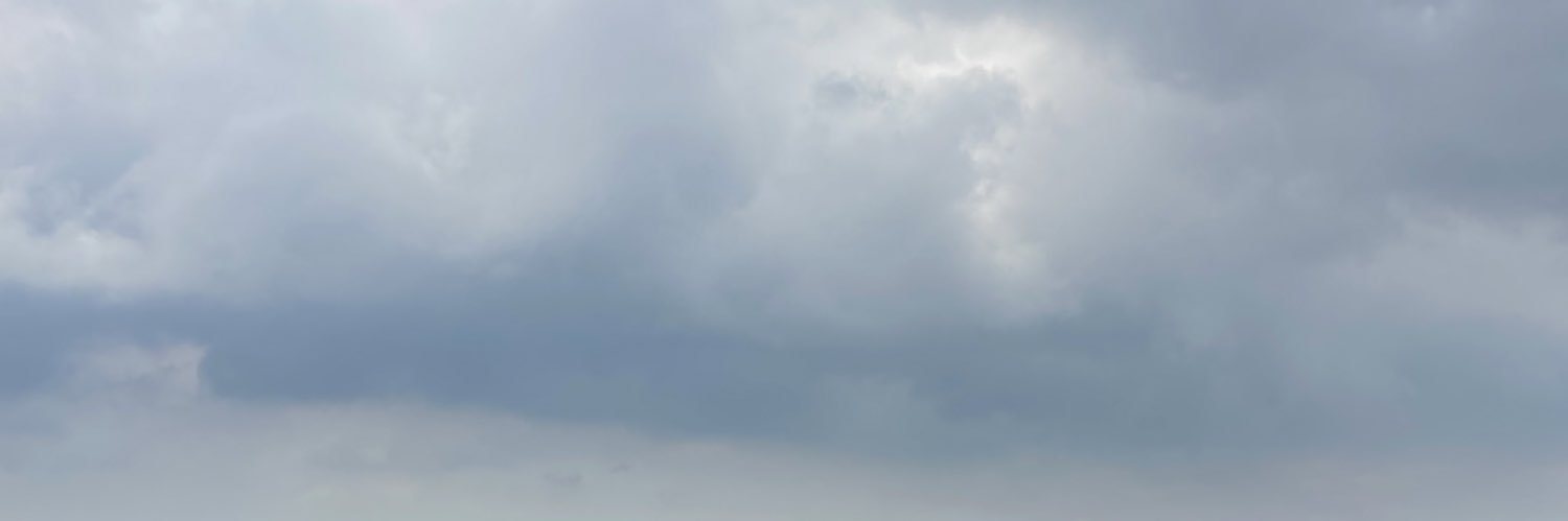 chanie🧸 banner