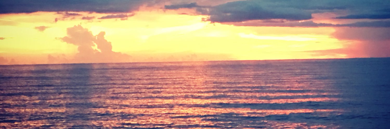 yram1981's profile banner image