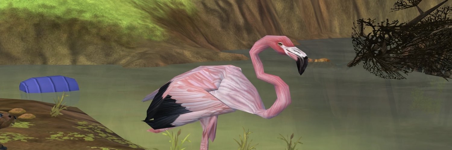 Omega_flamingo banner