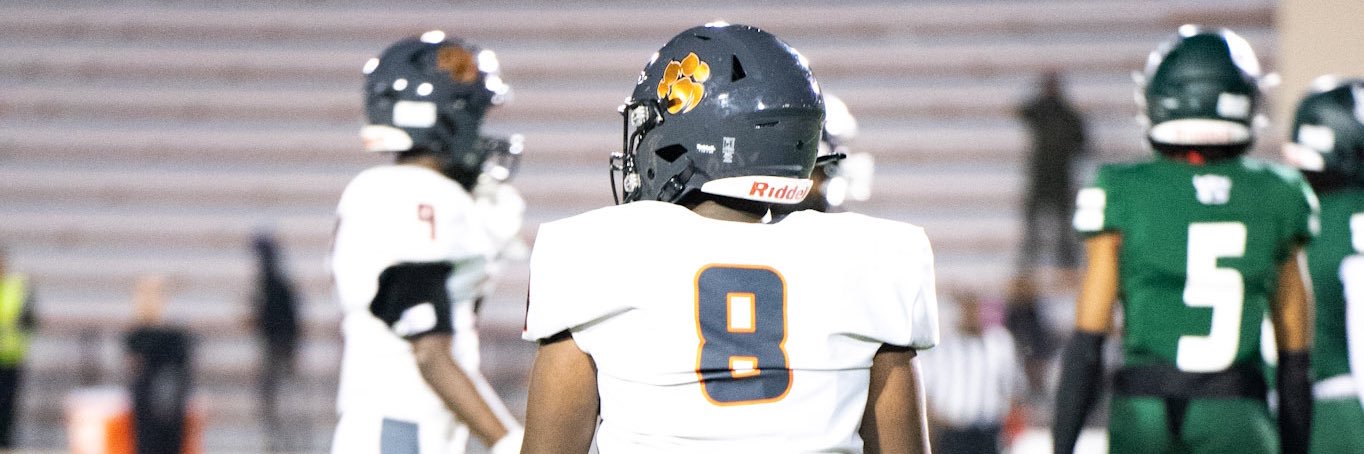 Mikiel renaud banner