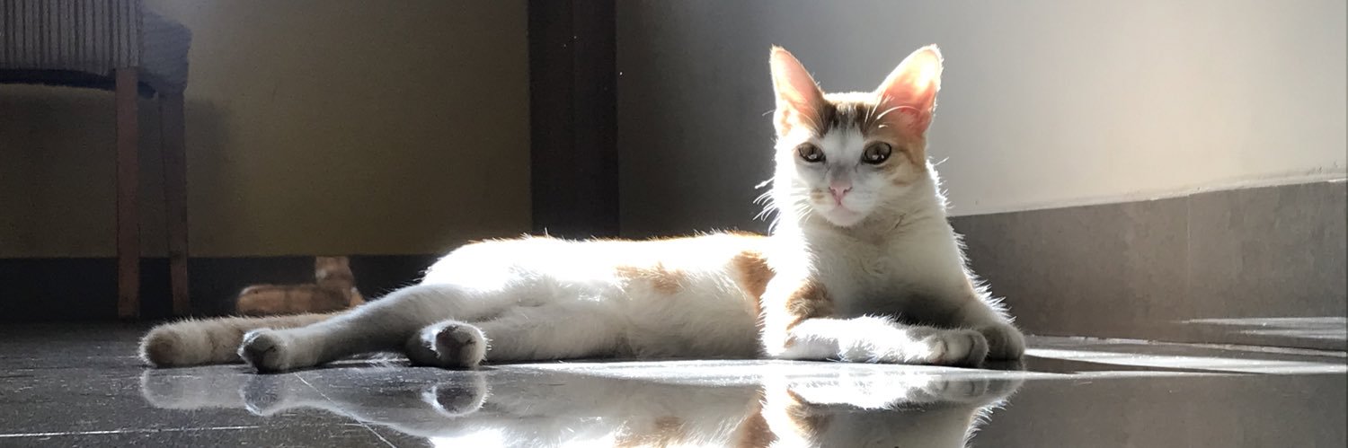 sofasogo0d's profile banner image