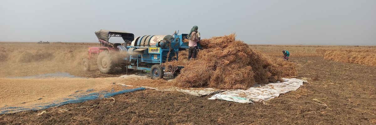 shekher's profile banner image