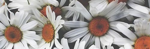 karibassow's profile banner image