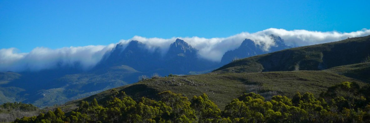 Will Ockenden banner
