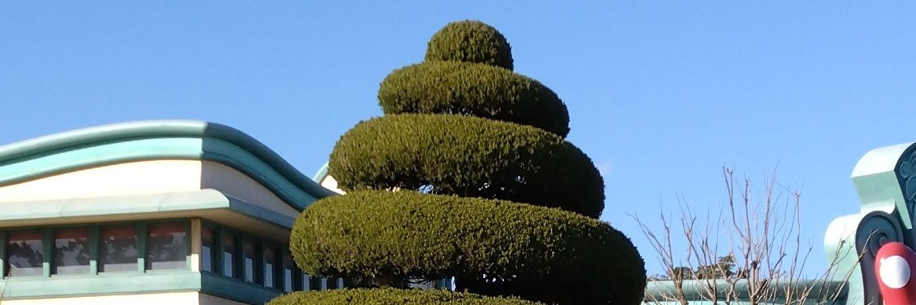 まちま's banner