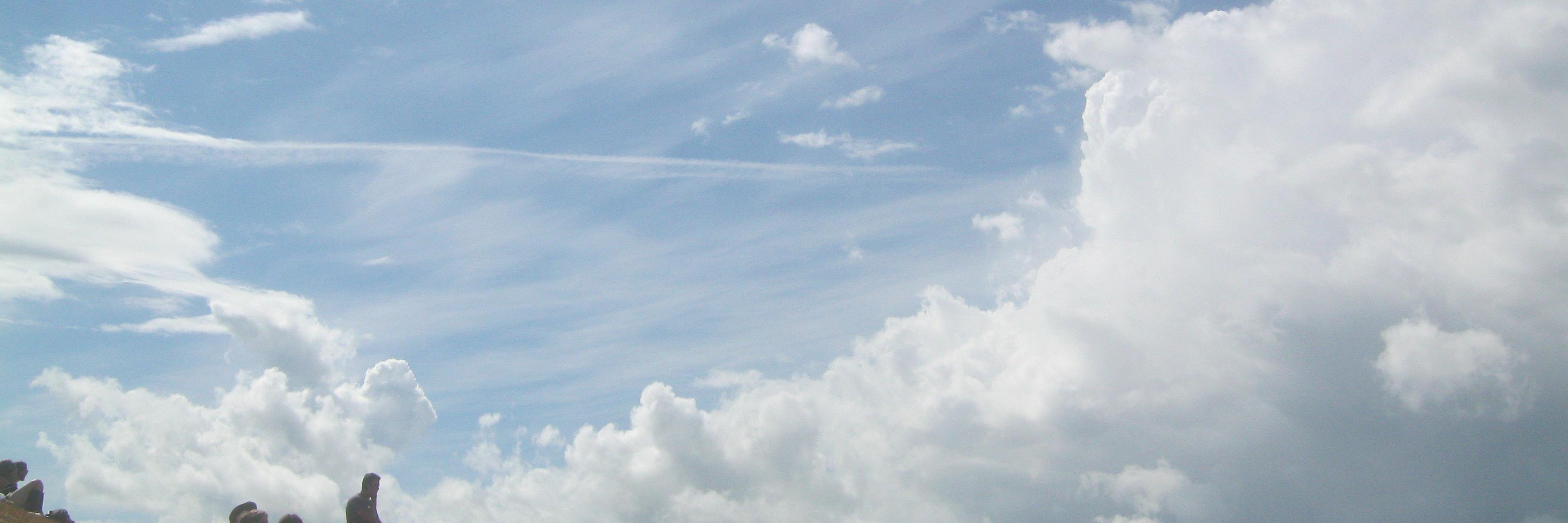 Stephen Brown banner