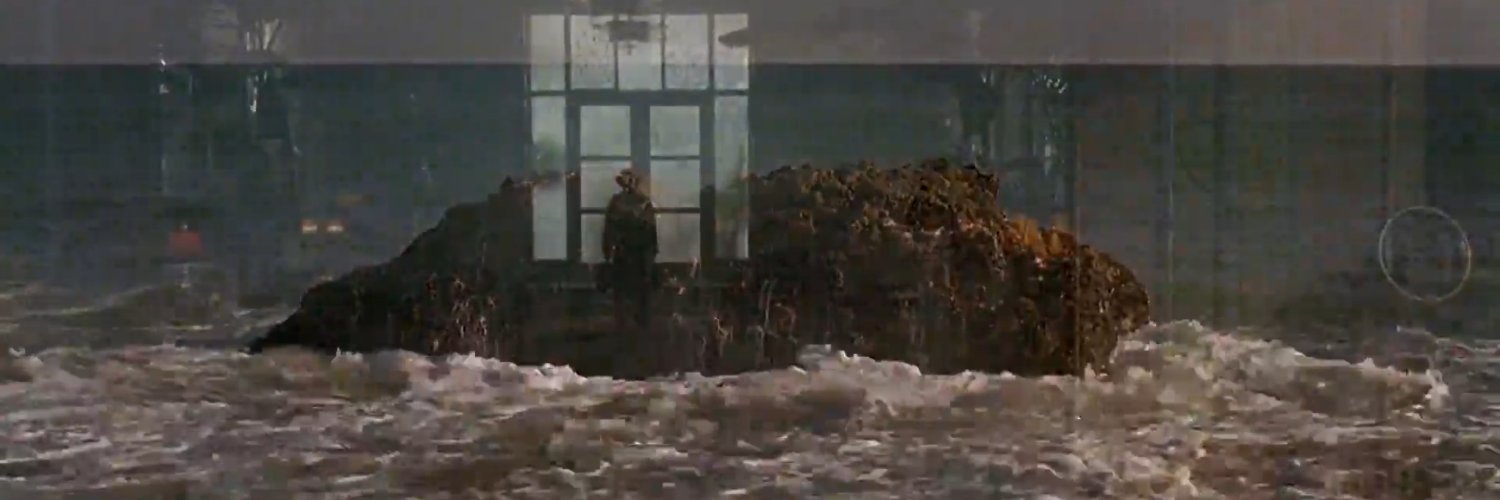 Joy of Cooking banner