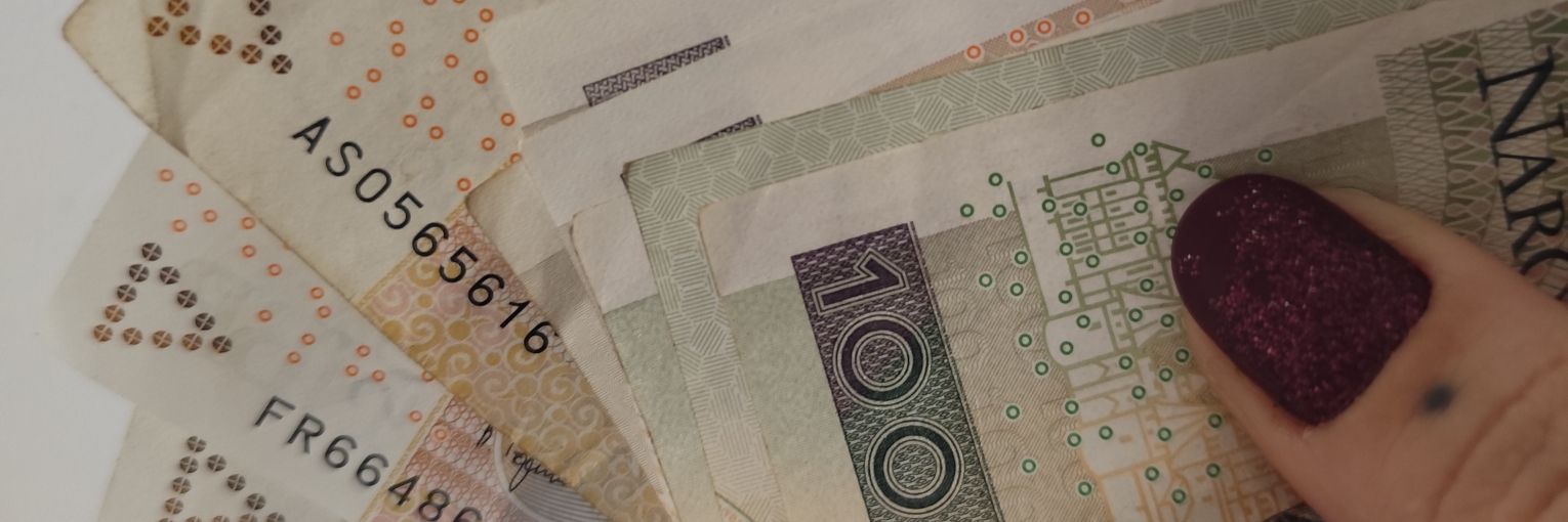 Żmija banner
