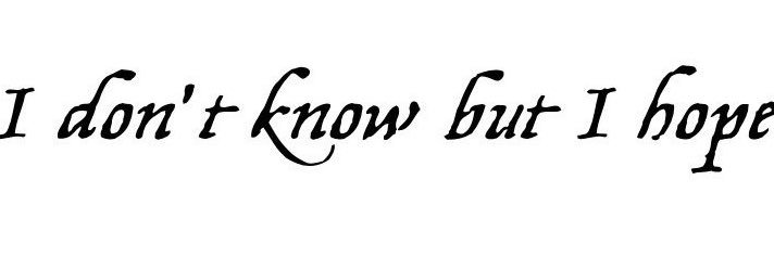 Sendycoco🍒 banner