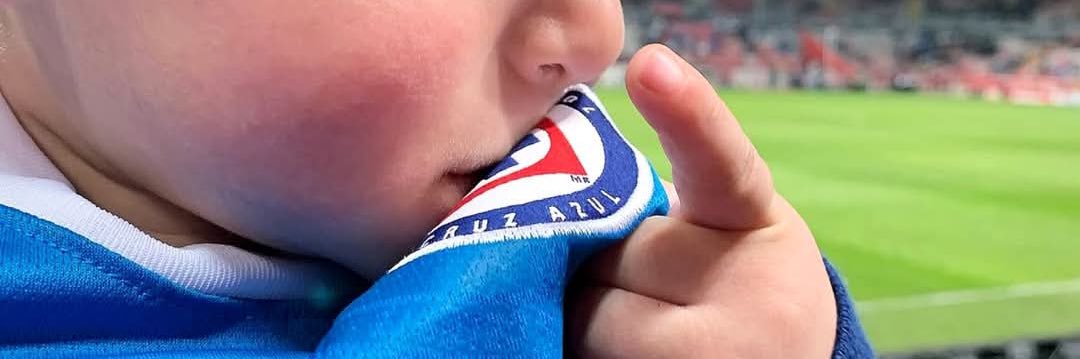 Palavellísimo🚂💙 banner