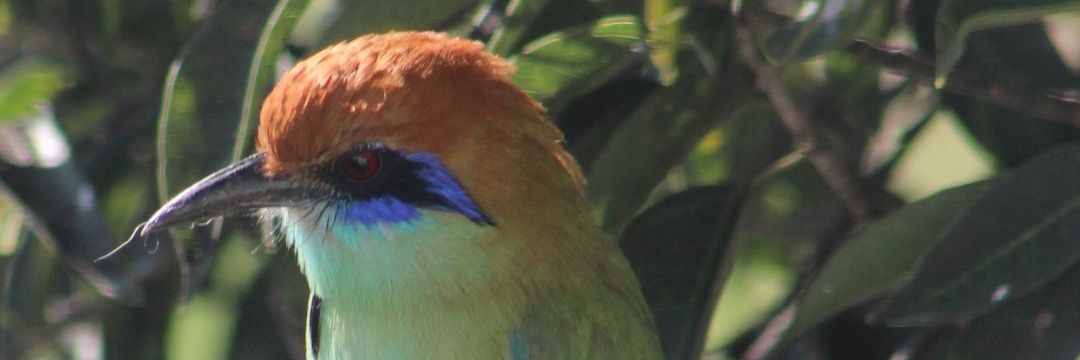 glezmlaura's profile banner image