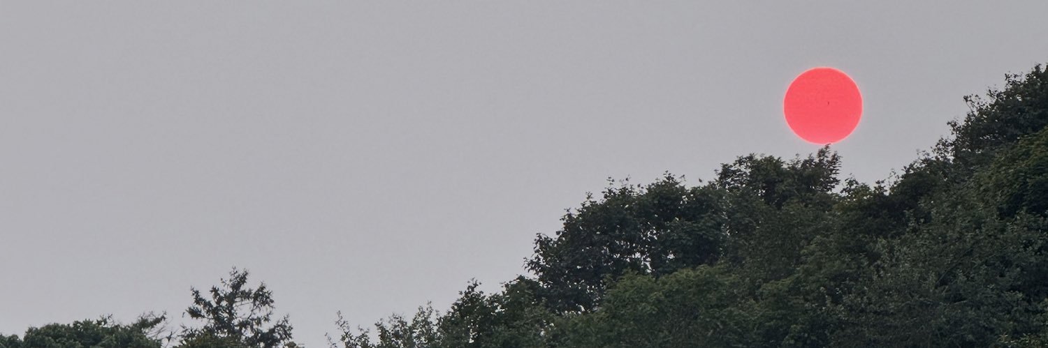 Rosaleen Carroll's banner