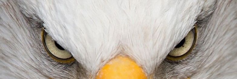 nlucianoc's profile banner image