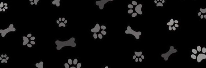 fatalbitee's profile banner image
