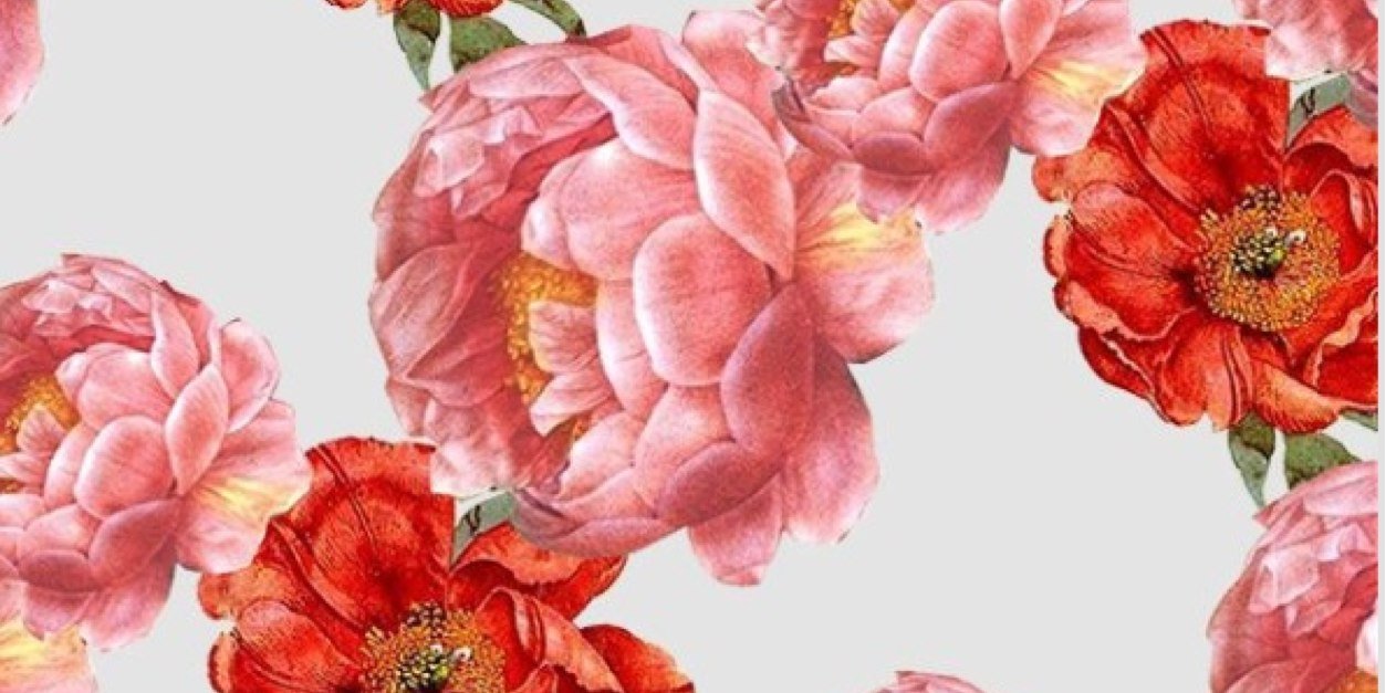 waheedaism's profile banner image