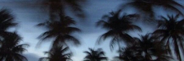 g banner