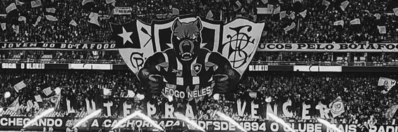 bfraveiro's profile banner image