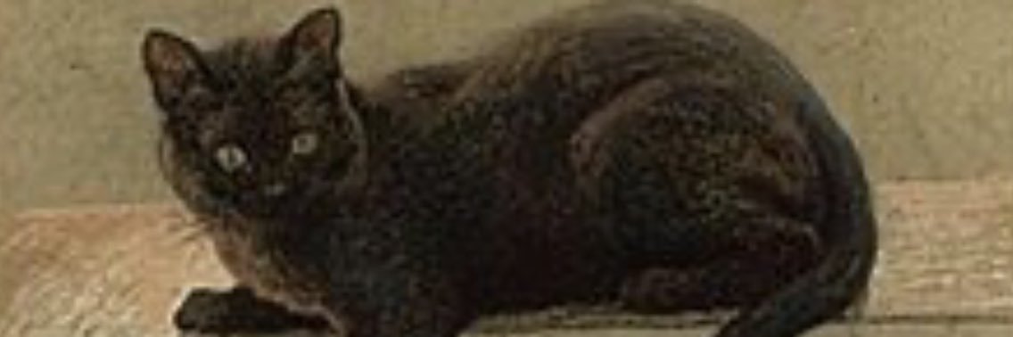 SooperKitty's profile banner image