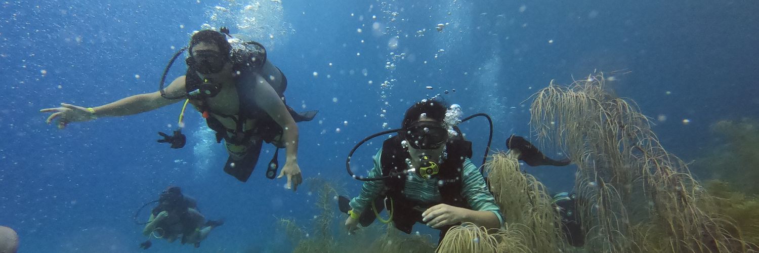 Paul J. Perales, MD banner