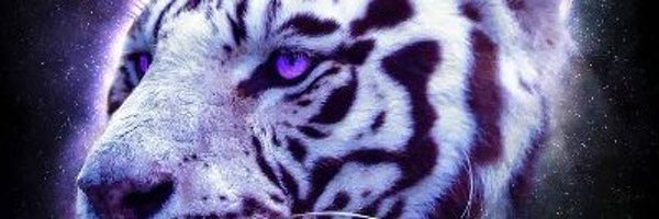 Lutta_utd_fann Profile Banner