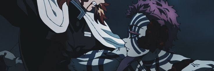 Salve banner