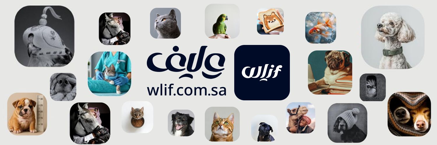Wlifapp's profile banner image