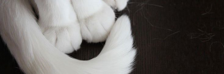 slilr_'s profile banner image
